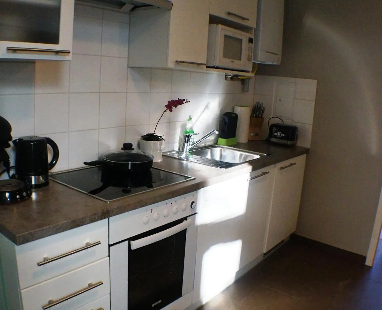 Gala Apartments - City Oasis At Naschmarkt Viena 0*,