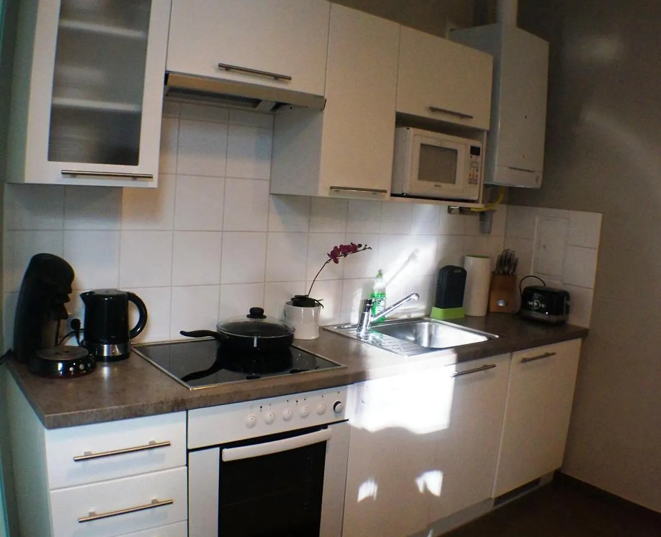 Gala Apartments - City Oasis At Naschmarkt Viena